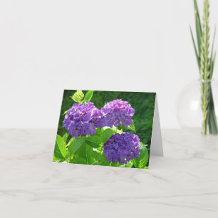 Cartão Hydrangea 2