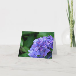Cartão Hydrangea 6893
