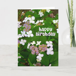 Cartão Hydrangea Aspera Aniversário