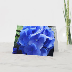 Cartão Hydrangea Azul