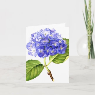 Cartão Hydrangea azul