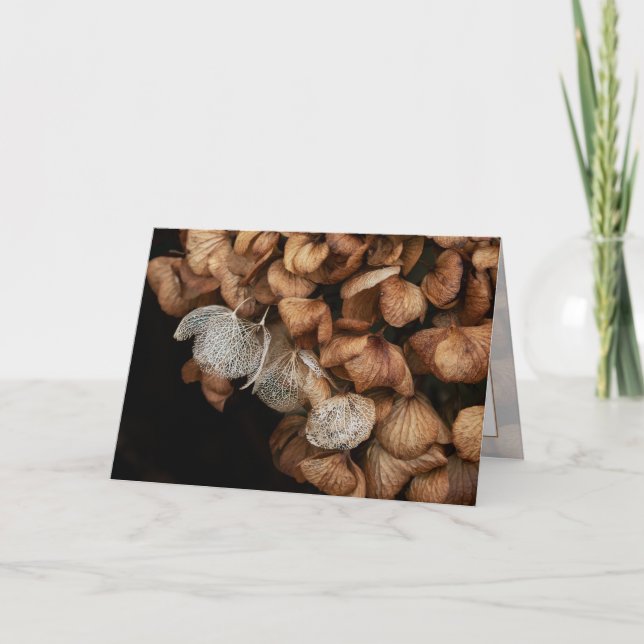 Cartão Hydrangea desbotada (Frente)