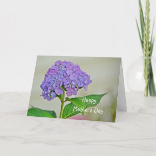 Cartão Hydrangea do Dia das Mães