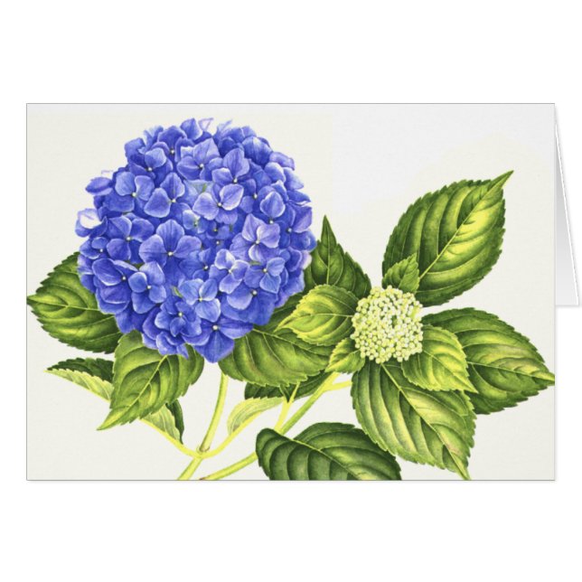 Cartão Hydrangea e botão azuis (Frente horizontal)