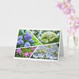 Cartão Hydrangea [Greeting Card] カード