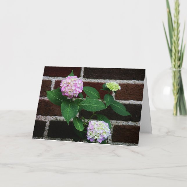 Cartão hydrangea no tijolo (Frente)