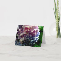 Hydrangea Notecard Híbrida