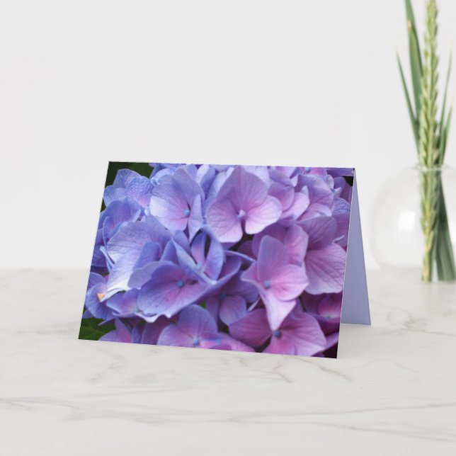 Cartão Hydrangeas Azul (Frente)