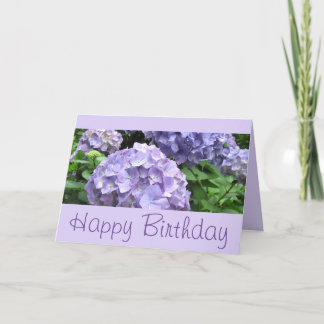 Cartão Hydrangeas em jardins de Trebah, Cornualha