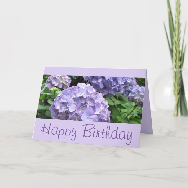 Cartão Hydrangeas em jardins de Trebah, Cornualha (Frente)