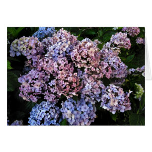 Cartão Hydrangeas obscuros