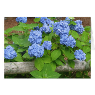 Cartão Hydrangias