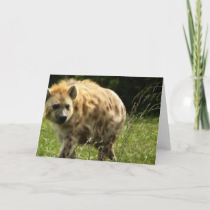 Cartão Hyena Greeting Card