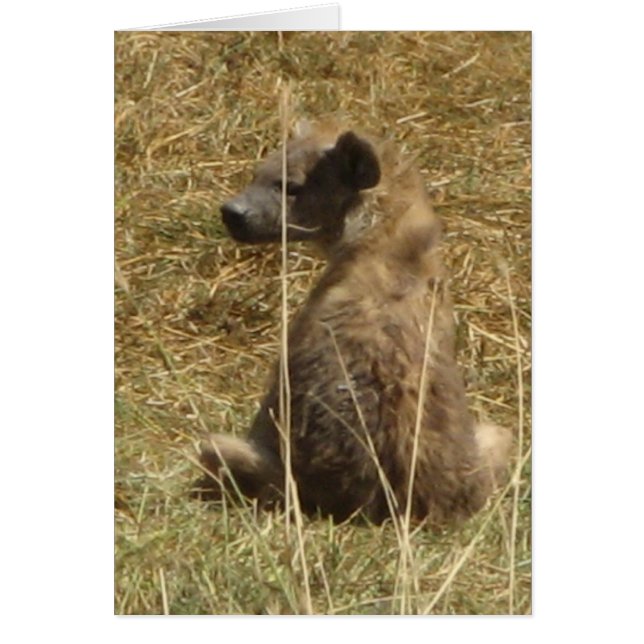 Cartão Hyena Pup (Frente)