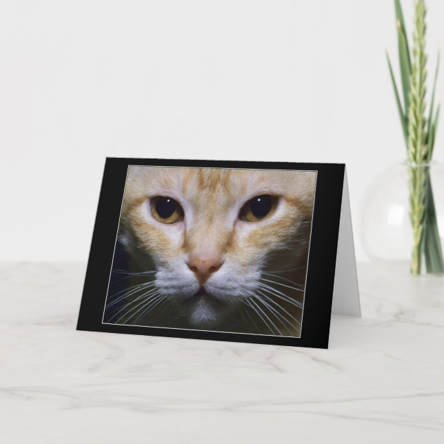 Cartão "Hypnotic " (Frente)