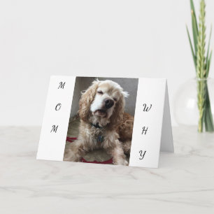 Cartão "I AM A LUCKY DOG" to have **YOU** MOM - BIRTHDAY