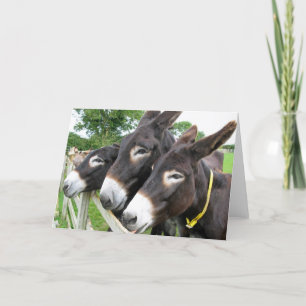 Cartão I Love Donkeys!