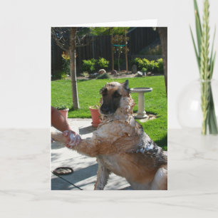 Cartão I Love Us German Shepherd Anniversary Card