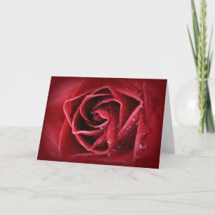 Cartão I love you...Greetings Card