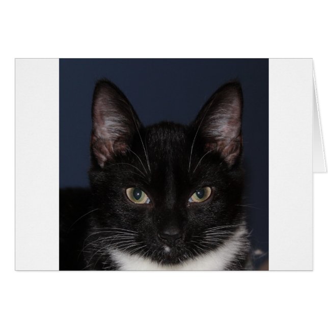 CARTÃO I LUV CATZ (Frente Horizontal)