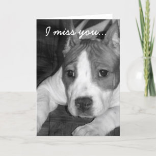 Cartão I miss you pitbull greeting card
