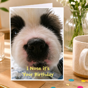 Cartão I Nose it's Your Birthday Card