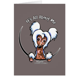 Cartão IAAM Detido Chinês