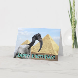 Cartão Ibis customizable birthday card