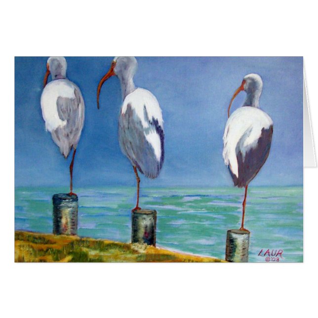 Cartão Ibis Design (Frente Horizontal)