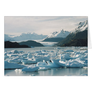 Cartão Icebergs Glaciais