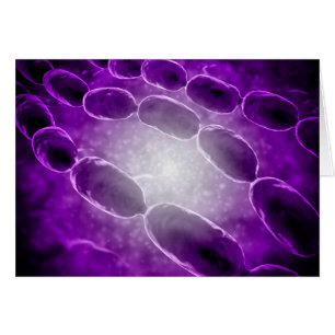 Cartão Ideia microscópica da pneumonia bacteriana 2
