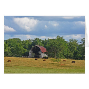 Cartão Ido mas não esquecido