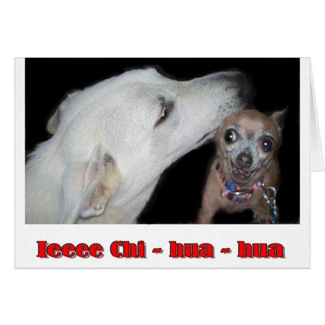 Cartão Ieee Chi hua hua (Frente Horizontal)