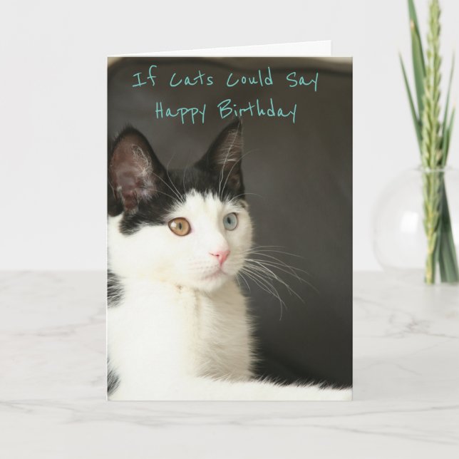 Cartão If Cats Could Say Happy Birthday (Frente)