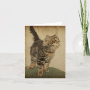 Cartão iger Kitten Notecard