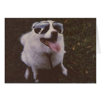 Cartão iggie por peacewillow