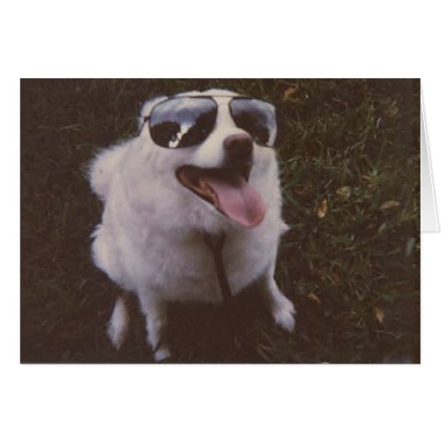 Cartão iggie por peacewillow (Frente Horizontal)