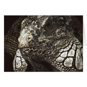 Cartão Iguana
