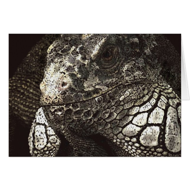 Cartão Iguana (Frente Horizontal)