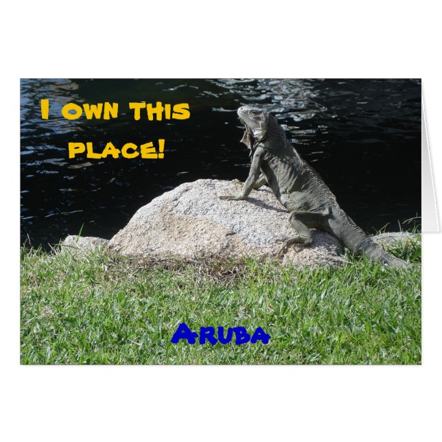 Cartão Iguana, Aruba (Frente Horizontal)