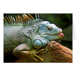 Cartão Iguana com placa de Vazio de exclusão