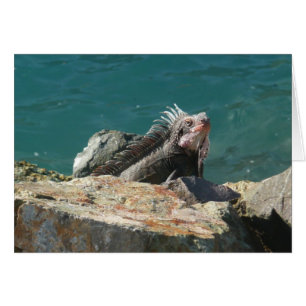 Cartão Iguana na Rua Thomas.