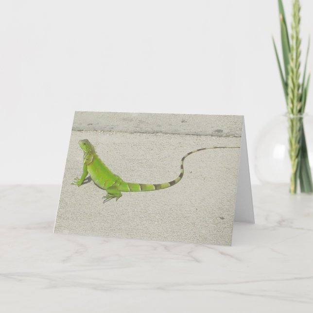 Cartão Iguana selvagem (Frente)