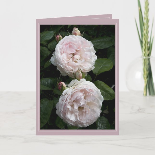 Cartão II de Redoute (Frente)