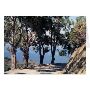 Cartão Ilha de Catalina