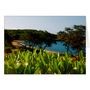 Cartão Ilha de Lanai no Havaí
