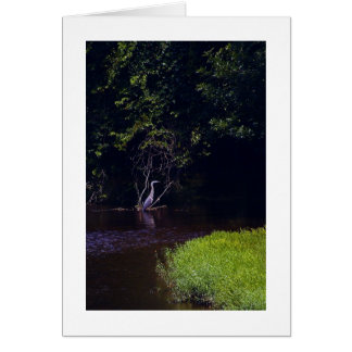 Cartão Ilha de Percival, Lynchburg Virginia