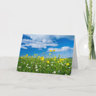 Cartão ilha do Uist do Sul   Escócia