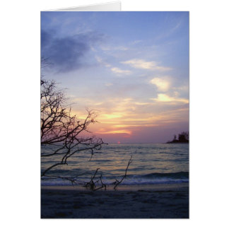 Cartão Ilha Palm Sunset 1