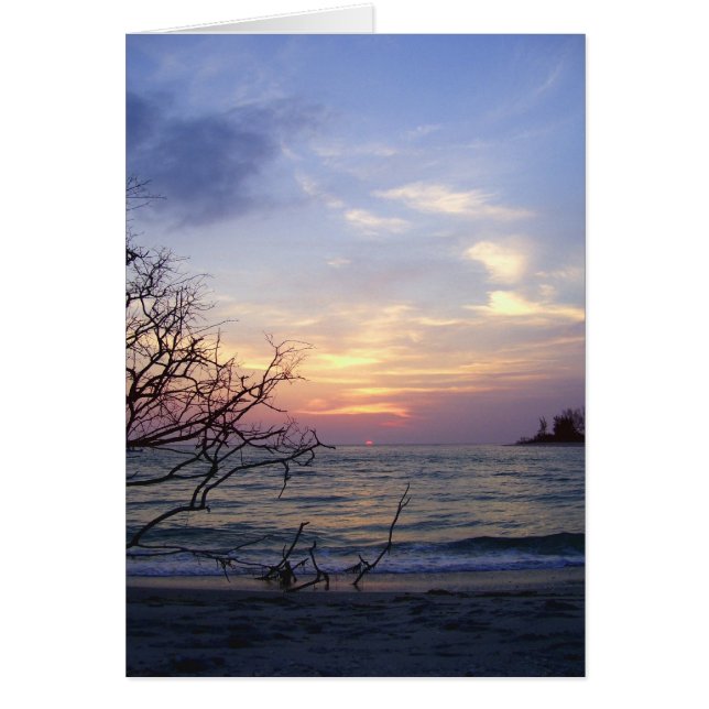 Cartão Ilha Palm Sunset 1 (Frente)